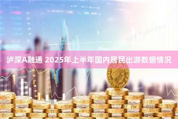 泸深A融通 2025年上半年国内居民出游数据情况